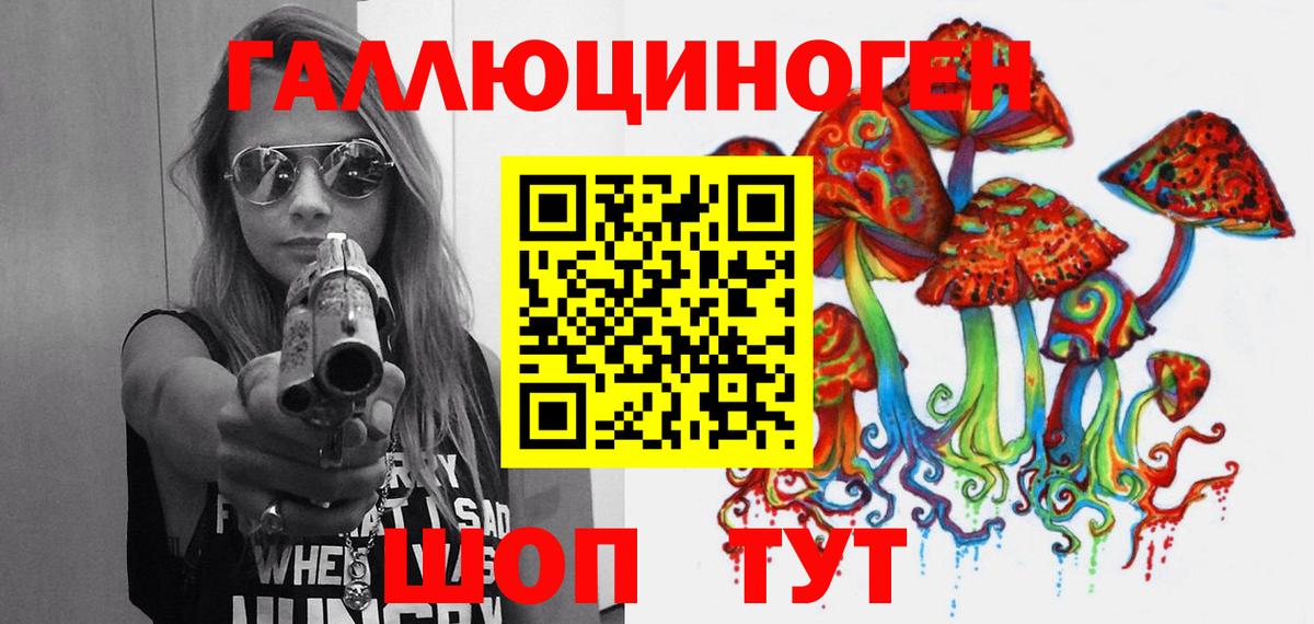 Галлюциногенные грибы Psilocybine cubensis Десногорск